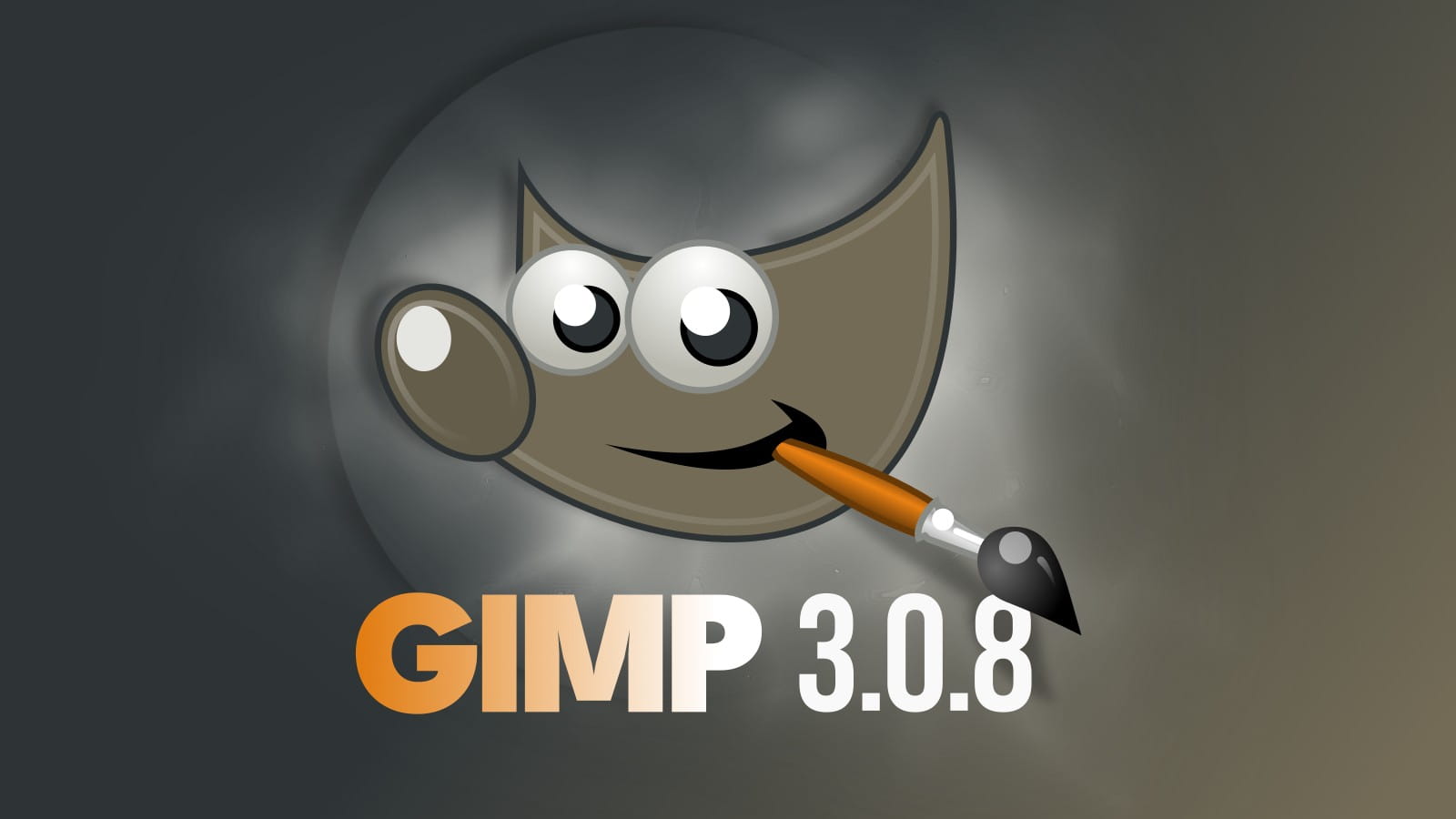 Gimp 3.0.8